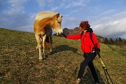 98 Bel cavallo con Monte Gioco